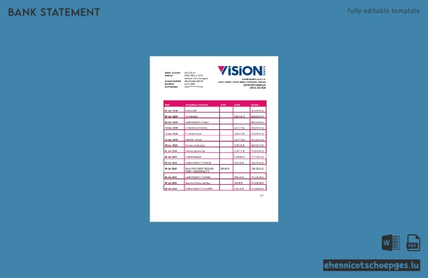 Beispiel eines Kontoauszugs der Paraguay Vision Banco (Vorschau)